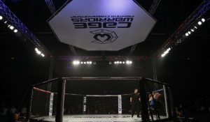 UFC 302: A Night of Action and Emotion in the Octagon