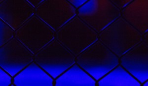 The Recent Developments in UFC: Key Events and Outcomes